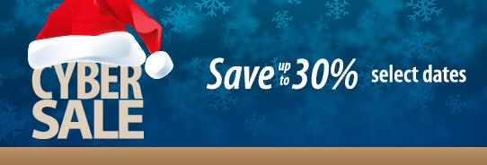 Cyber Sale Overnight Offers