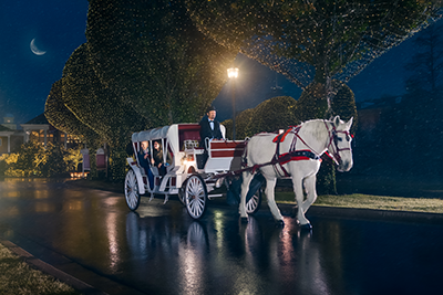 Experience a horse-drawn carriage ride and enjoy the decorations and lights!